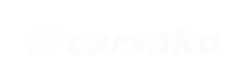 light logo